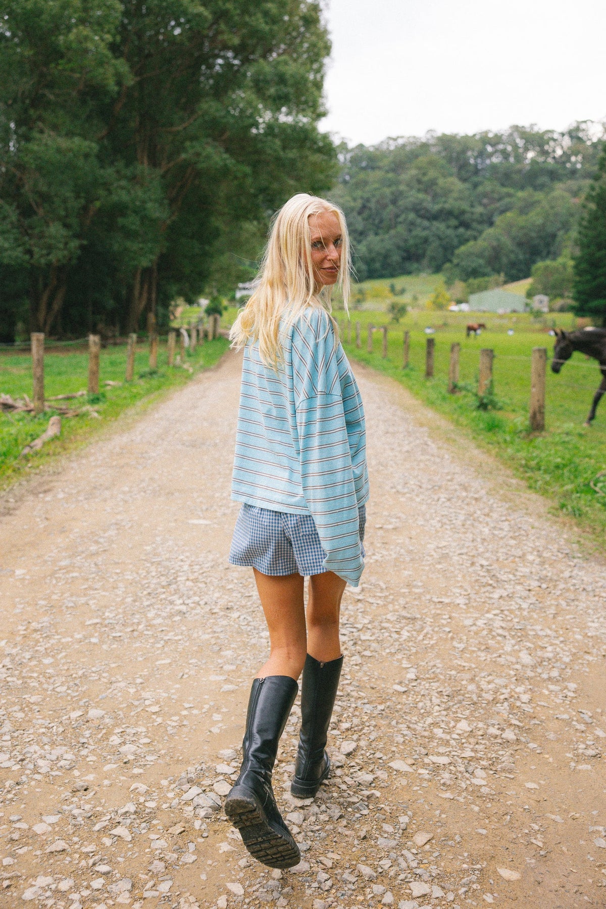 Classic Check Shorts | Cobalt
